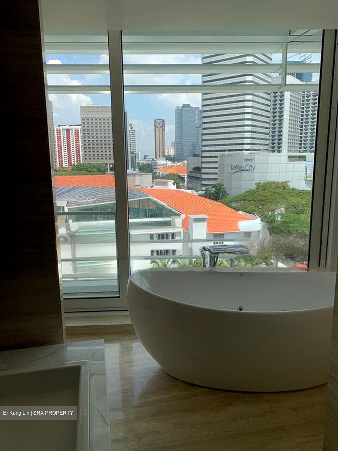 Eden Residences Capitol (D6), Apartment #481436971